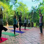 La Vie Est Belle - Wellness, Yoga And Meditation
