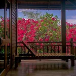 Mango Beach Resort