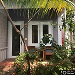 Gecko House