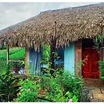 La Rosa House
