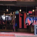 Indigo Cat