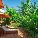 Calm House Hotel Hoi An 1