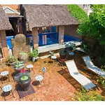 Calm House Hotel Hoi An 1
