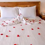 Rex Hotel & Apartment