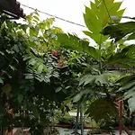 Hana Resort & Bungalow