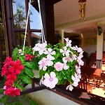 Windbell Villa Hoi An
