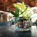 Ecovil Resort Phu Quoc