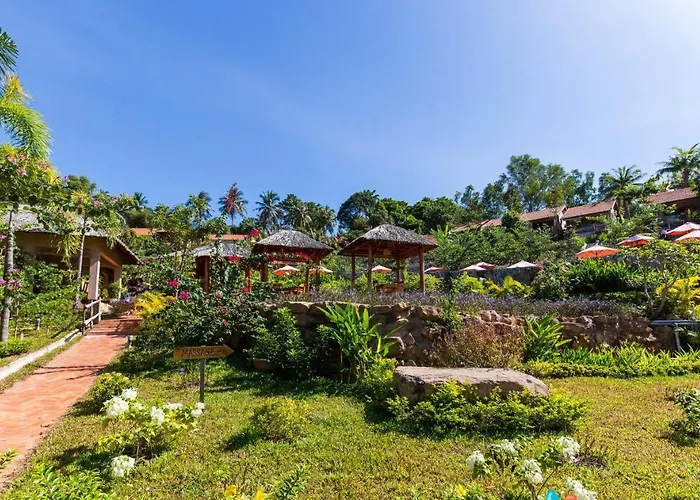 Daisy Resort