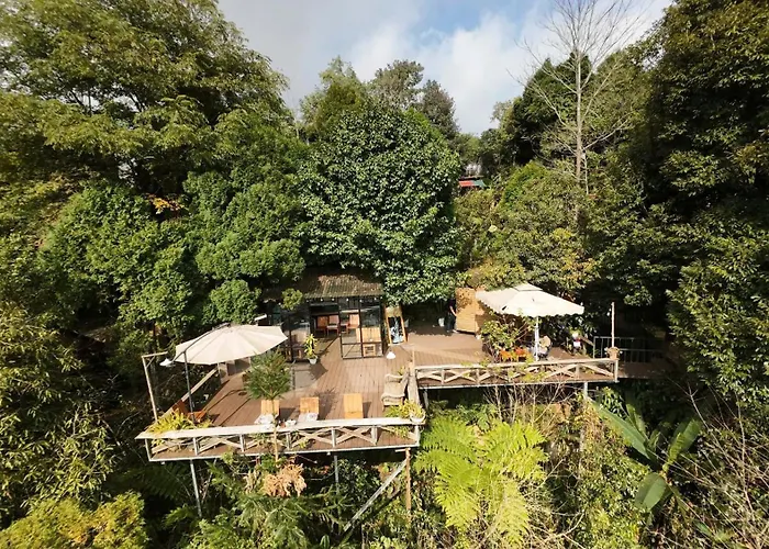 Sapa Jungle Homestay