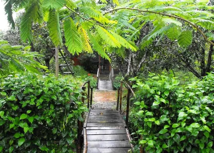 Ut Phuong Ecological Garden Resort