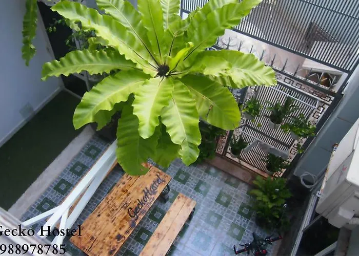 Gecko Hostel (Adults Only)