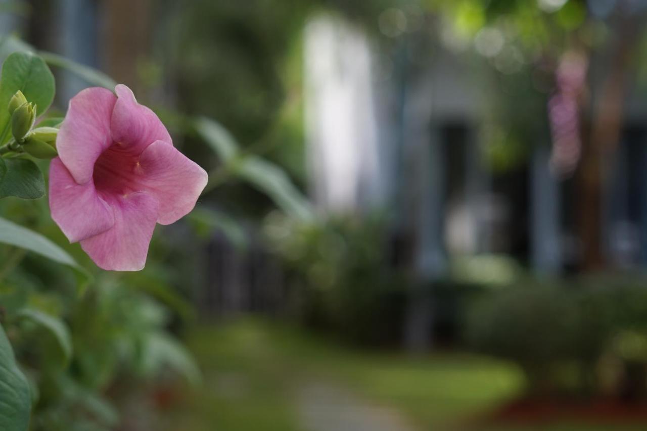 Resort Phu Quoc Hotel 3*
