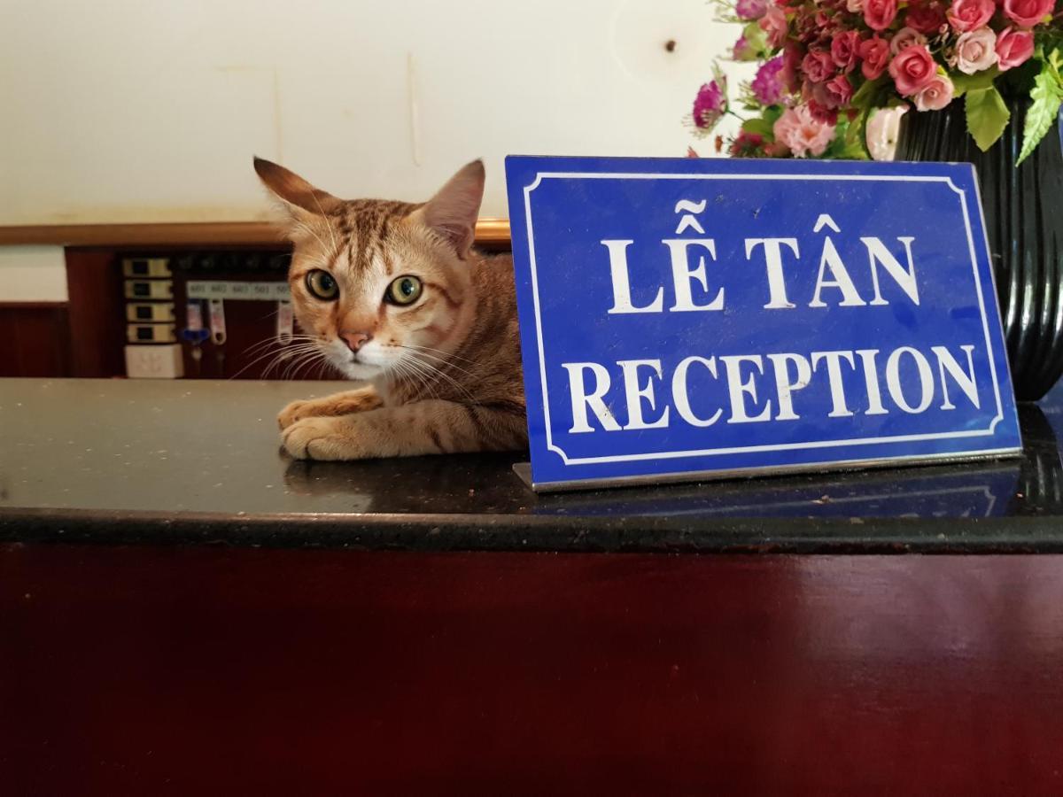 Truong An Hotel Vung Tau