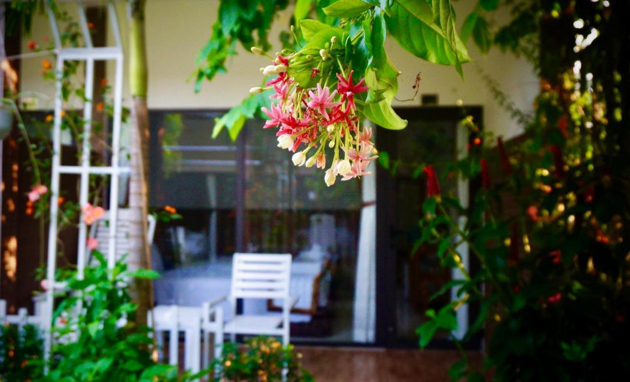 Canary Guest house 3*