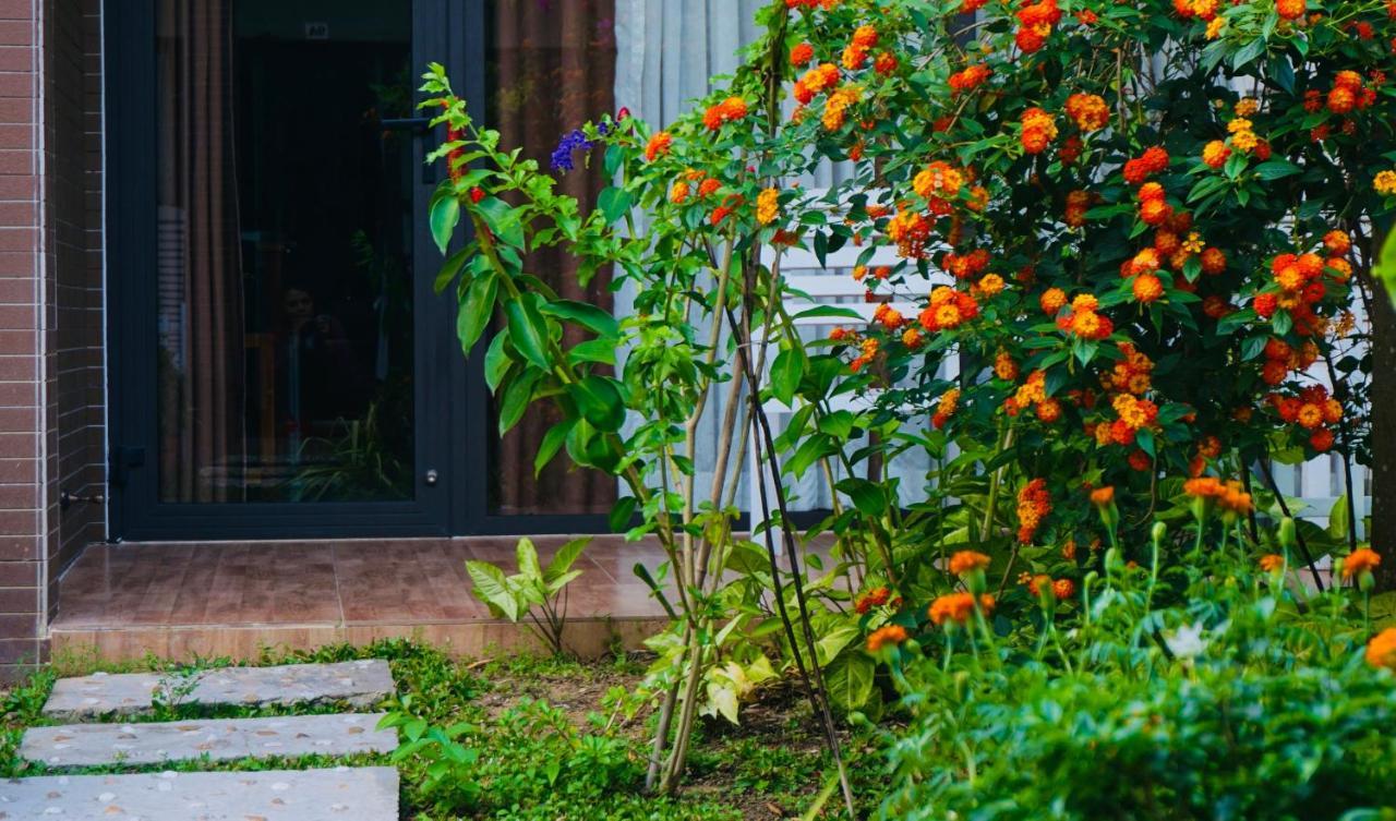 Guest house Canary