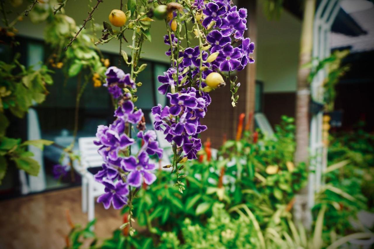 Canary 3* Phu Quoc