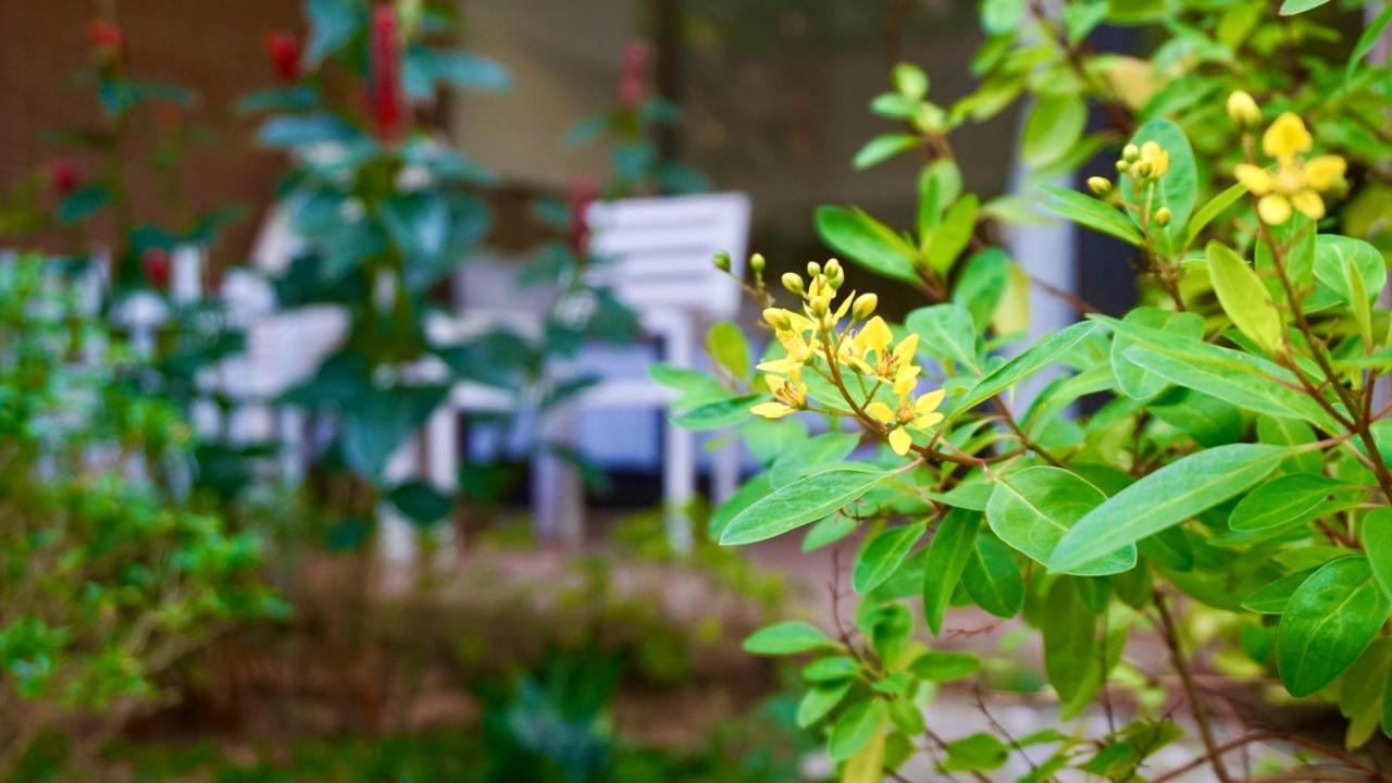 Canary Phu Quoc