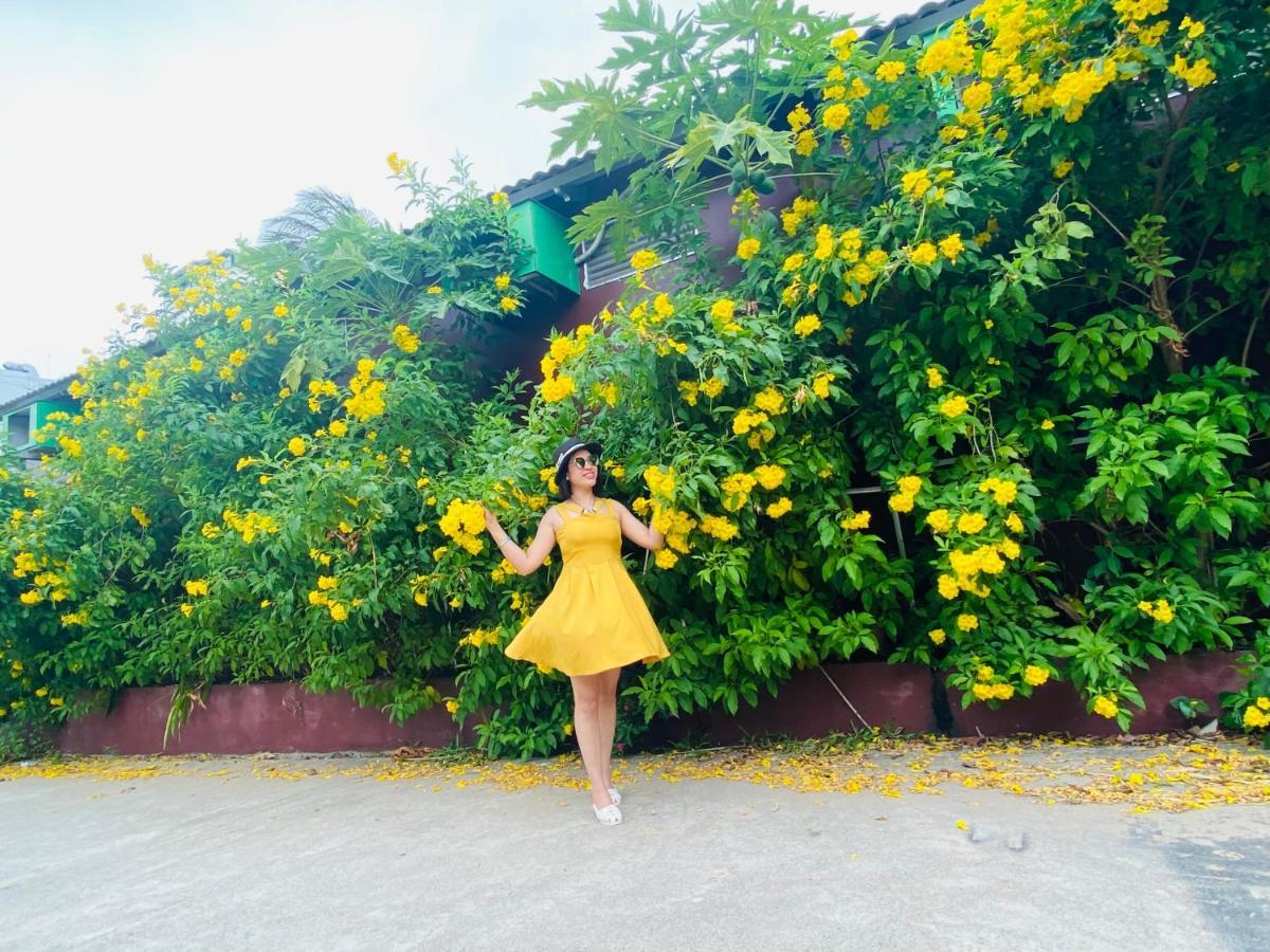 Canary Guest house 3*