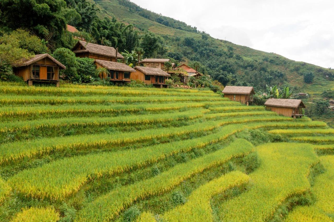 Eco Palms House - Retreat