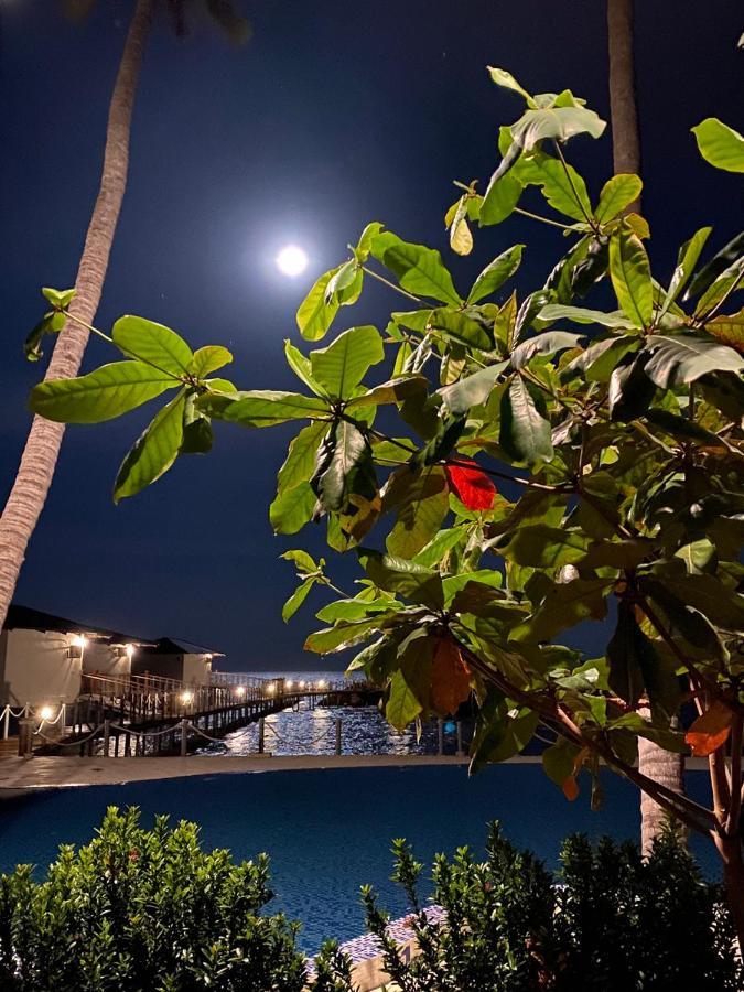 Resort The Pier