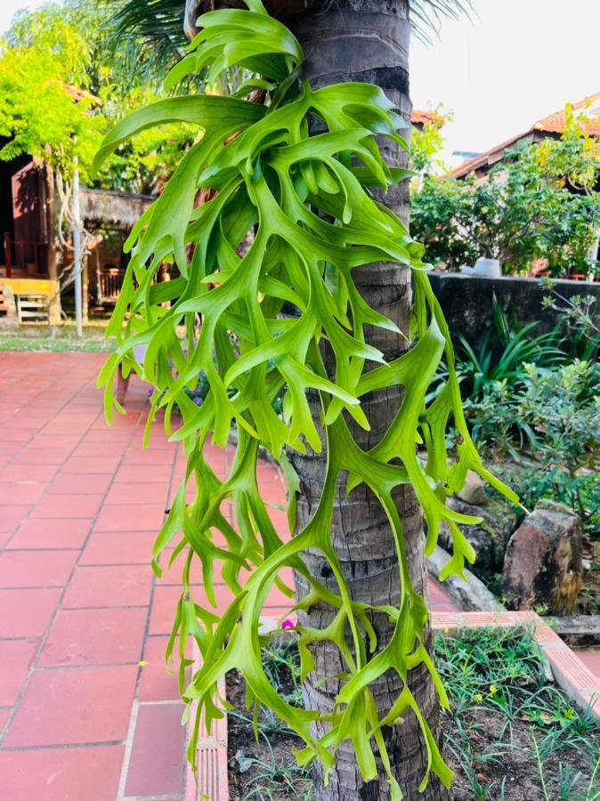 Hung Vuong Resort Phu Quoc