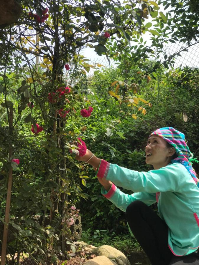 Ở trọ Nhà Dân Gia đình Tả