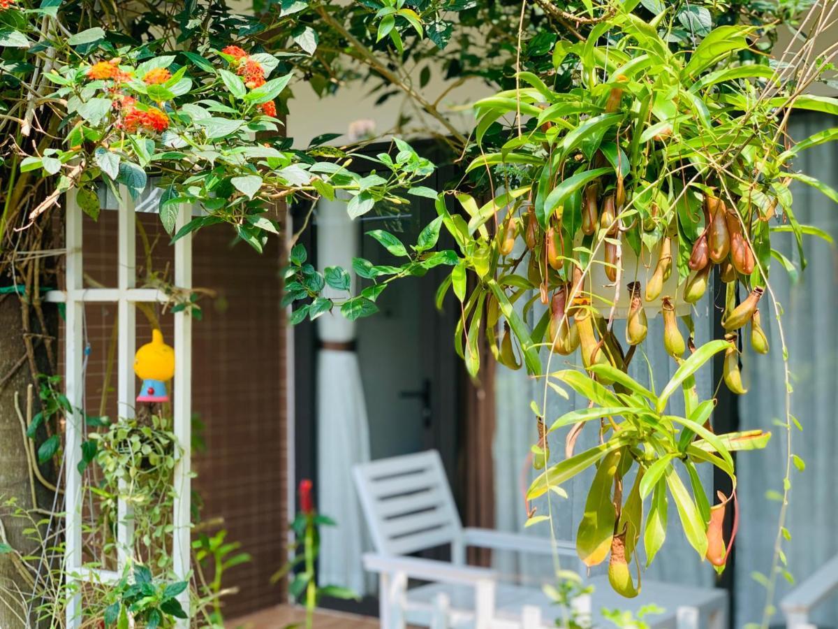 Canary Guest house Phu Quoc