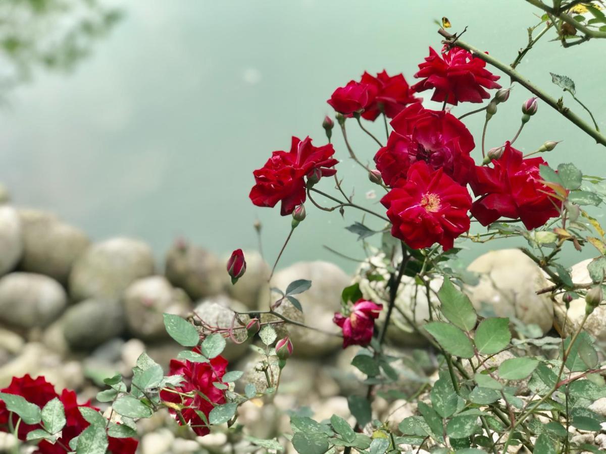 Nhà Dân Gia đình Tả Ở trọ *