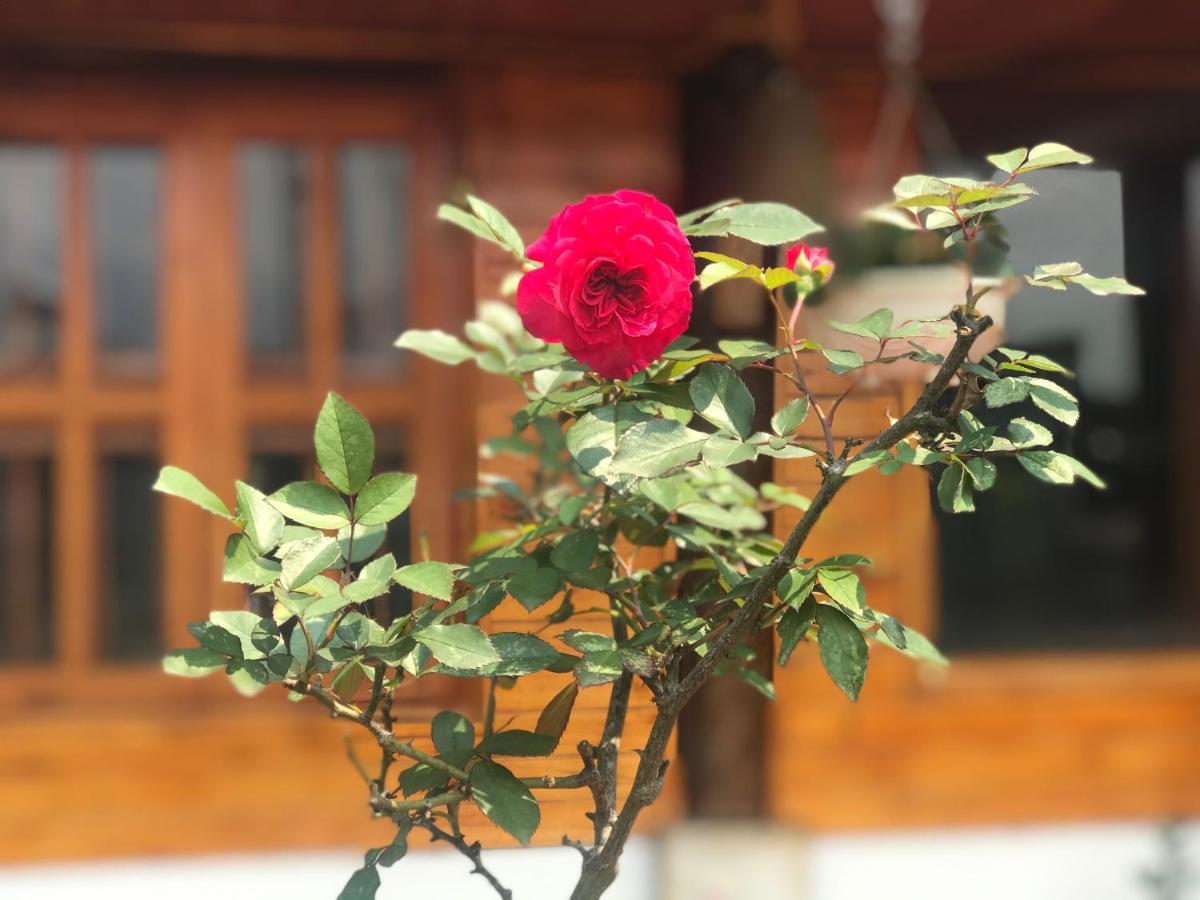 Nhà Dân Gia đình Tả Ở trọ
