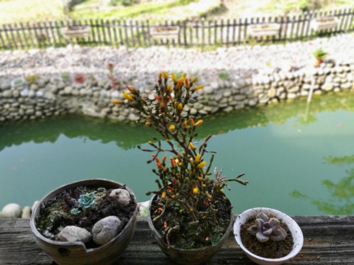 Nhà Dân Gia đình Tả