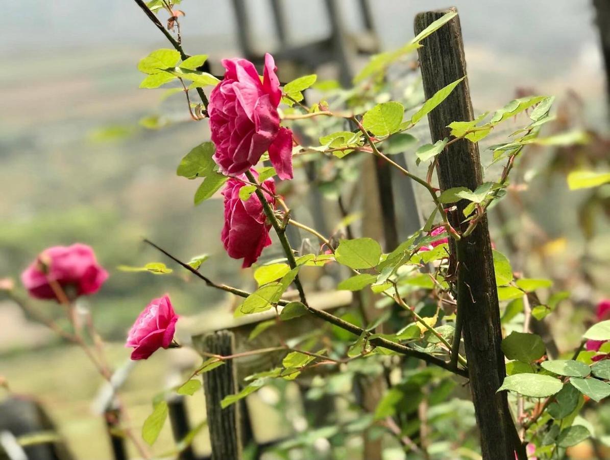 Nhà Dân Gia đình Tả