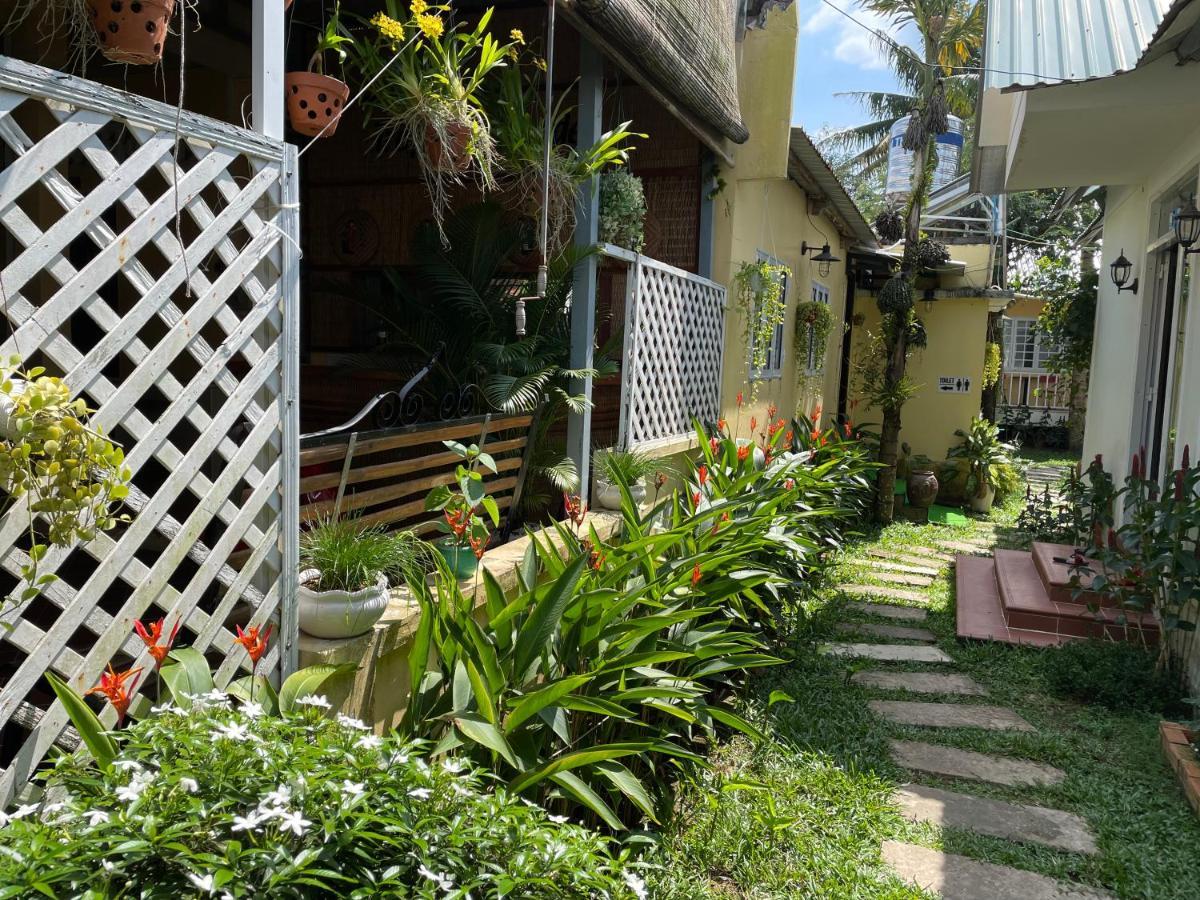 Tropical Garden