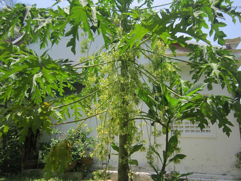 Local * Hội An