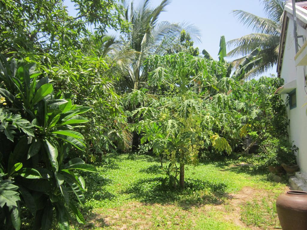 Ở trọ Local *