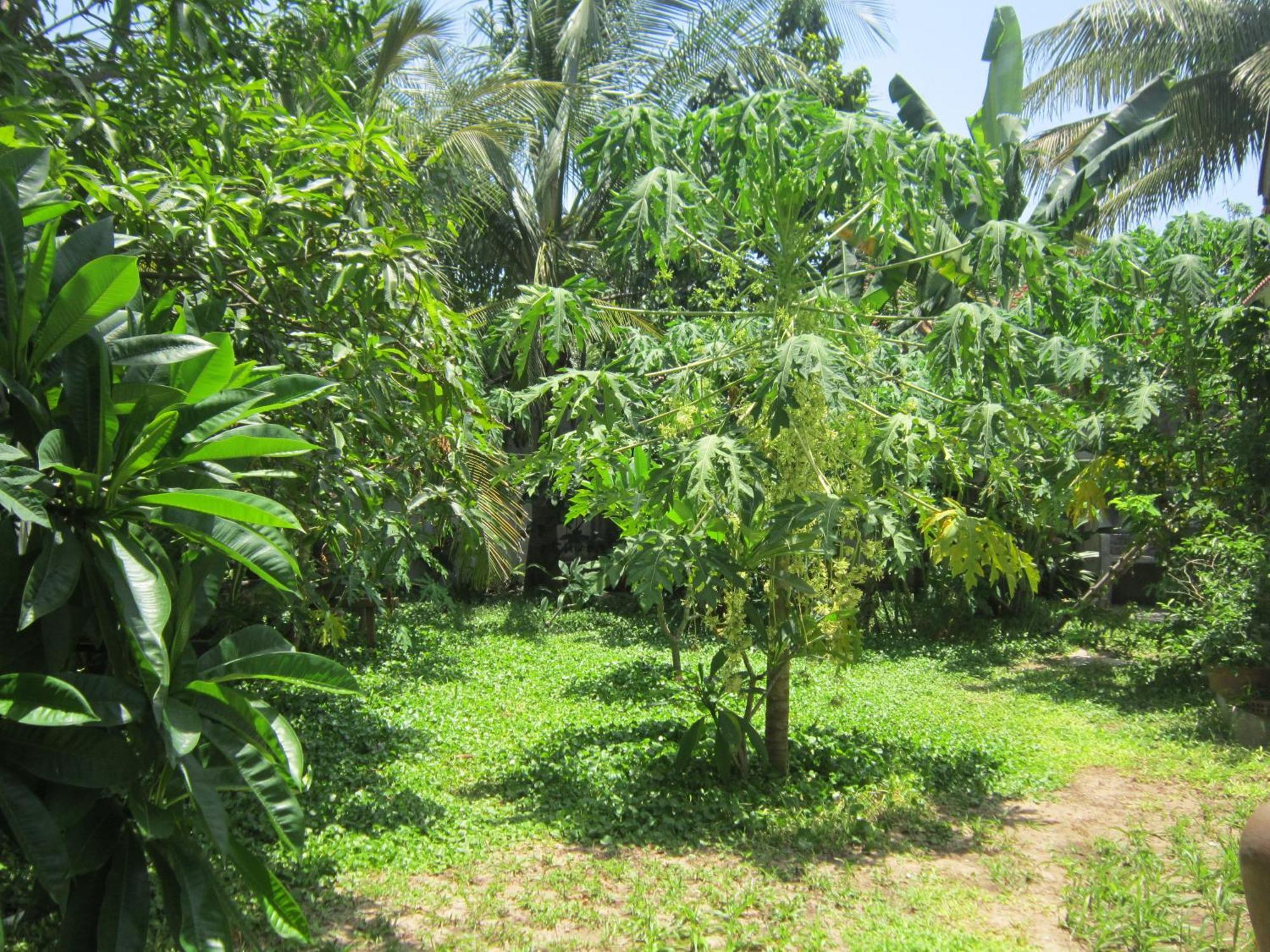 Local Ở trọ