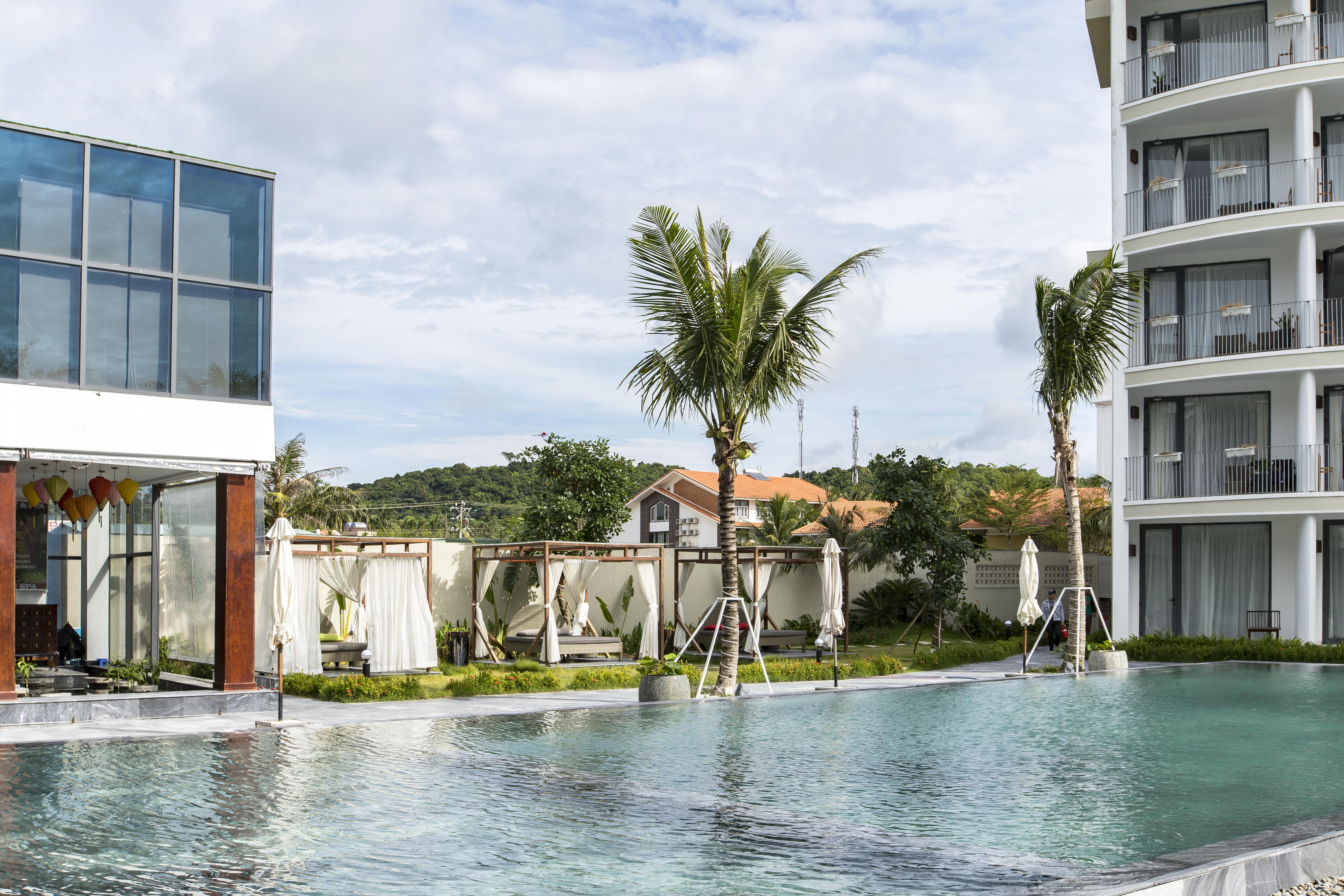 The Palmy & 4*