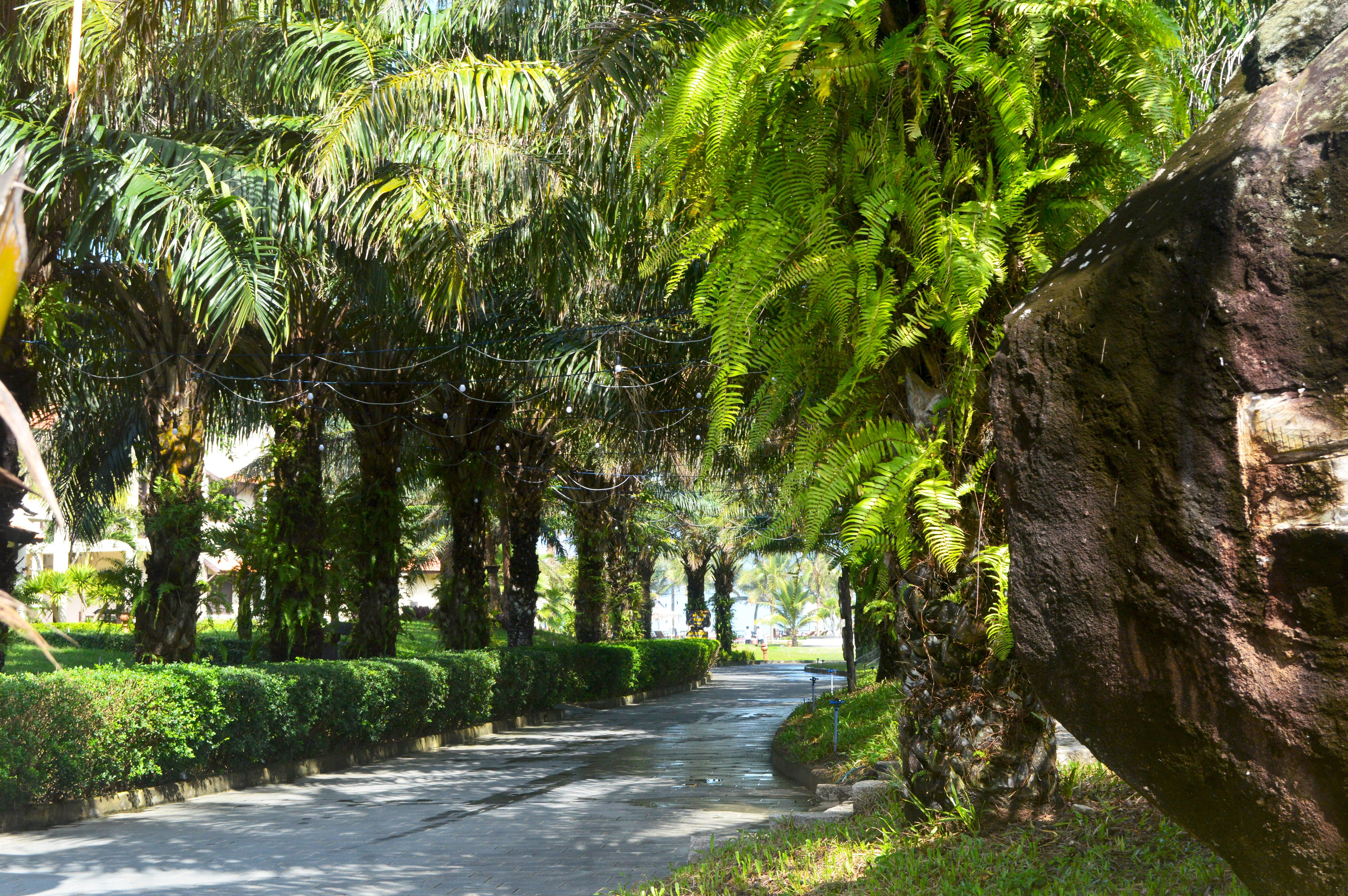 Tropical Khu nghỉ mát Hội An