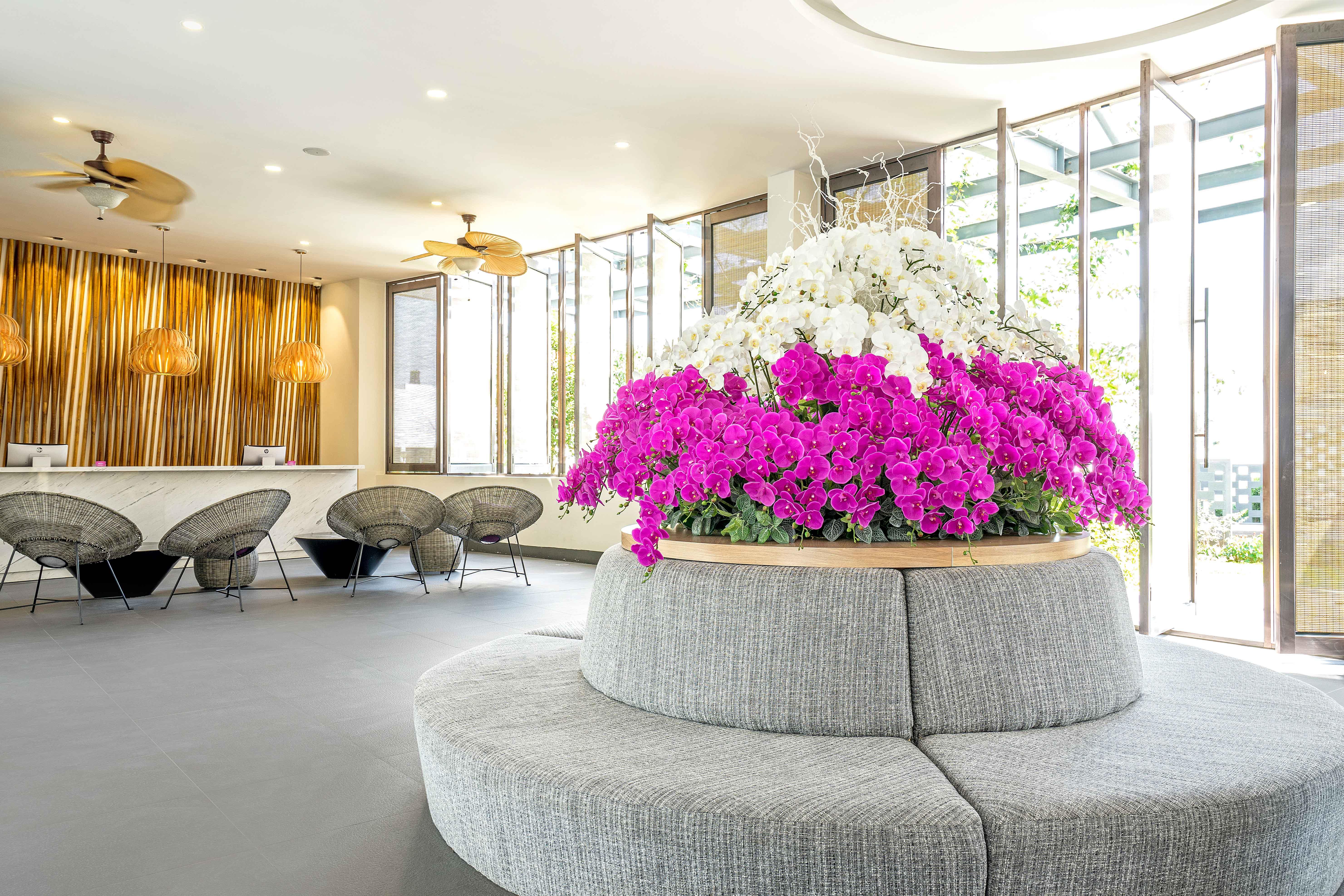 Oceanami & Club - Managed By Oceanami Group