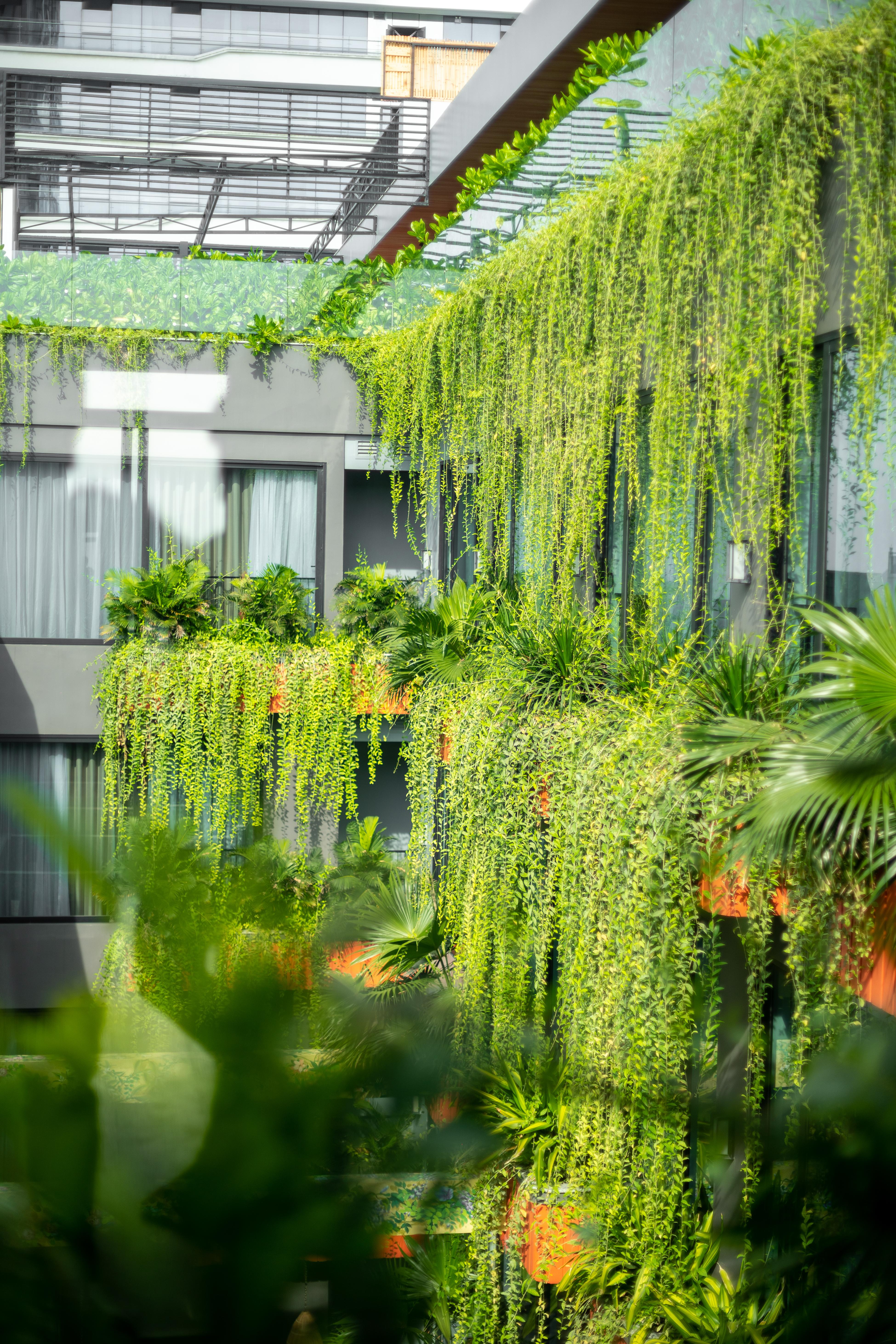 Hotel Chi House And 4*
