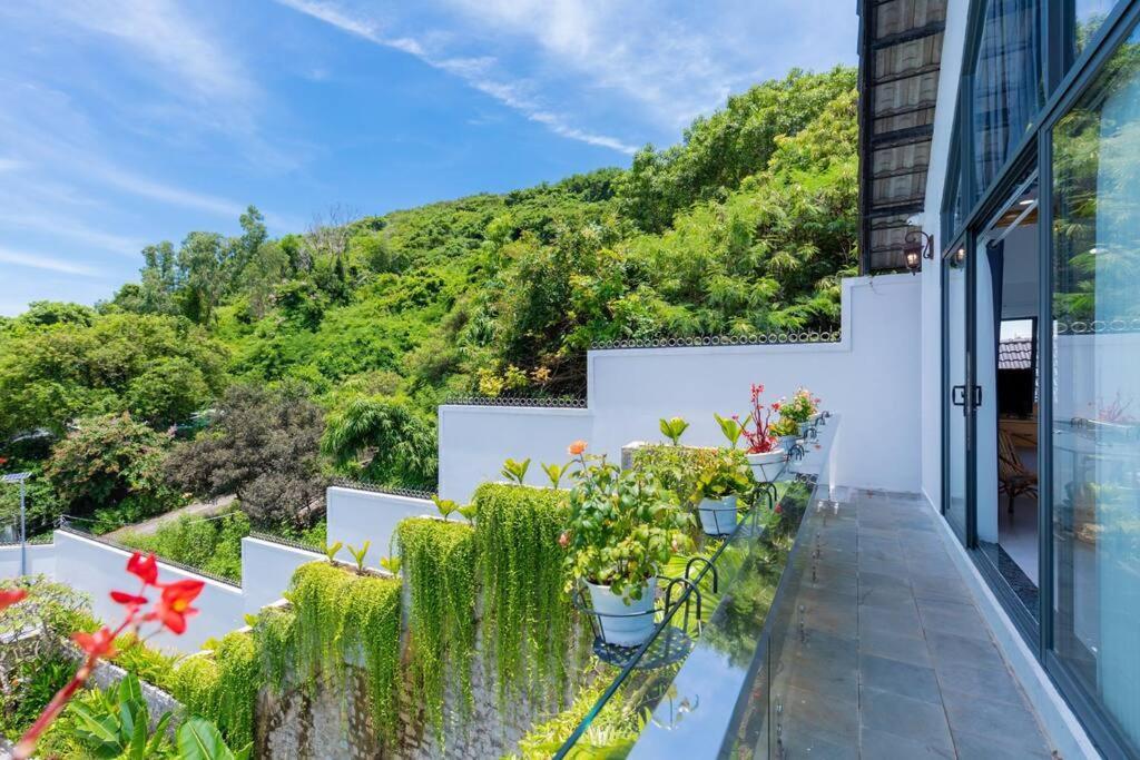 Bai Sau Vip Near * Vung Tau