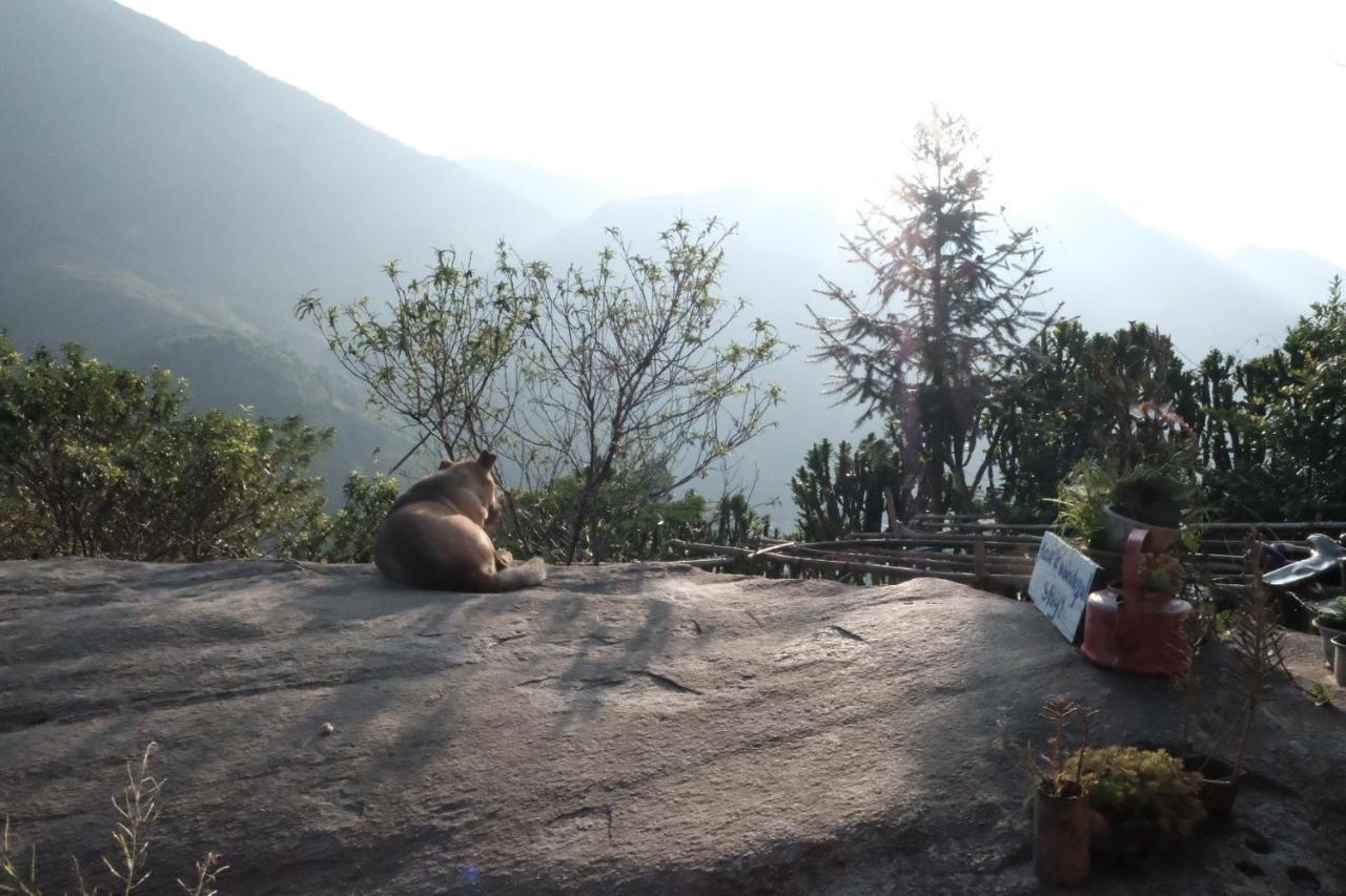 La Beaute Homestay