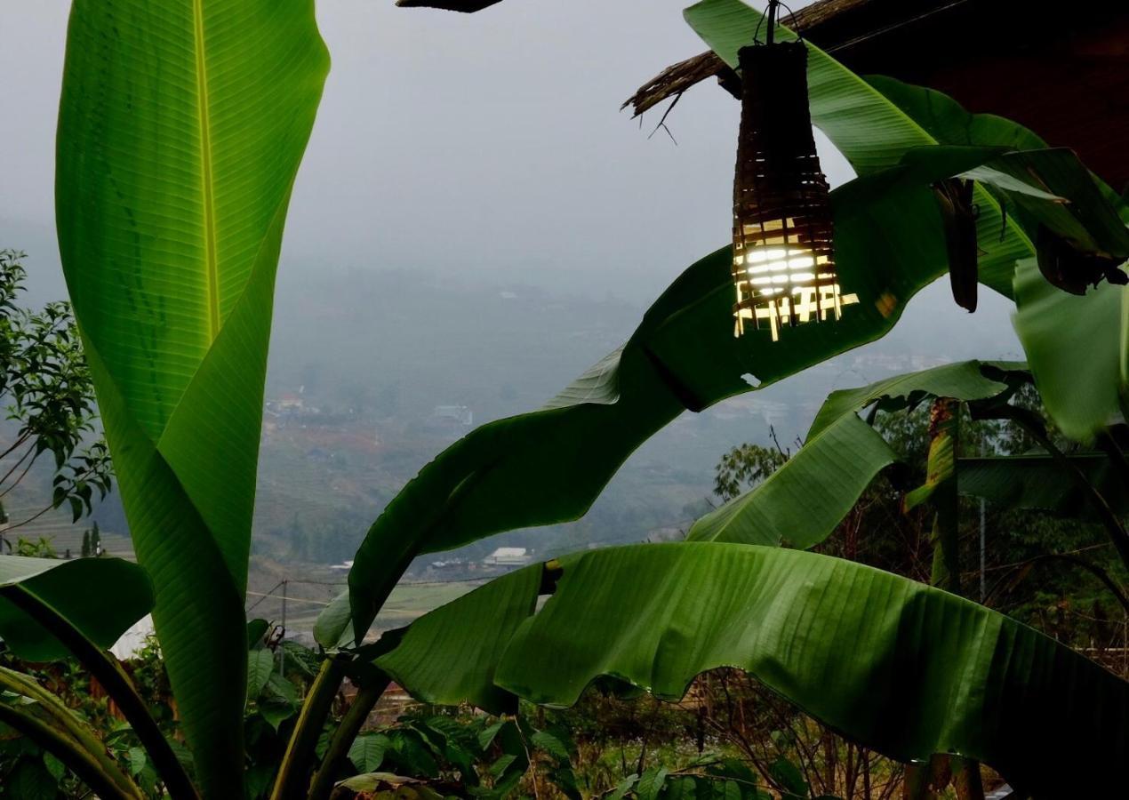 Comlam Eco House 2*