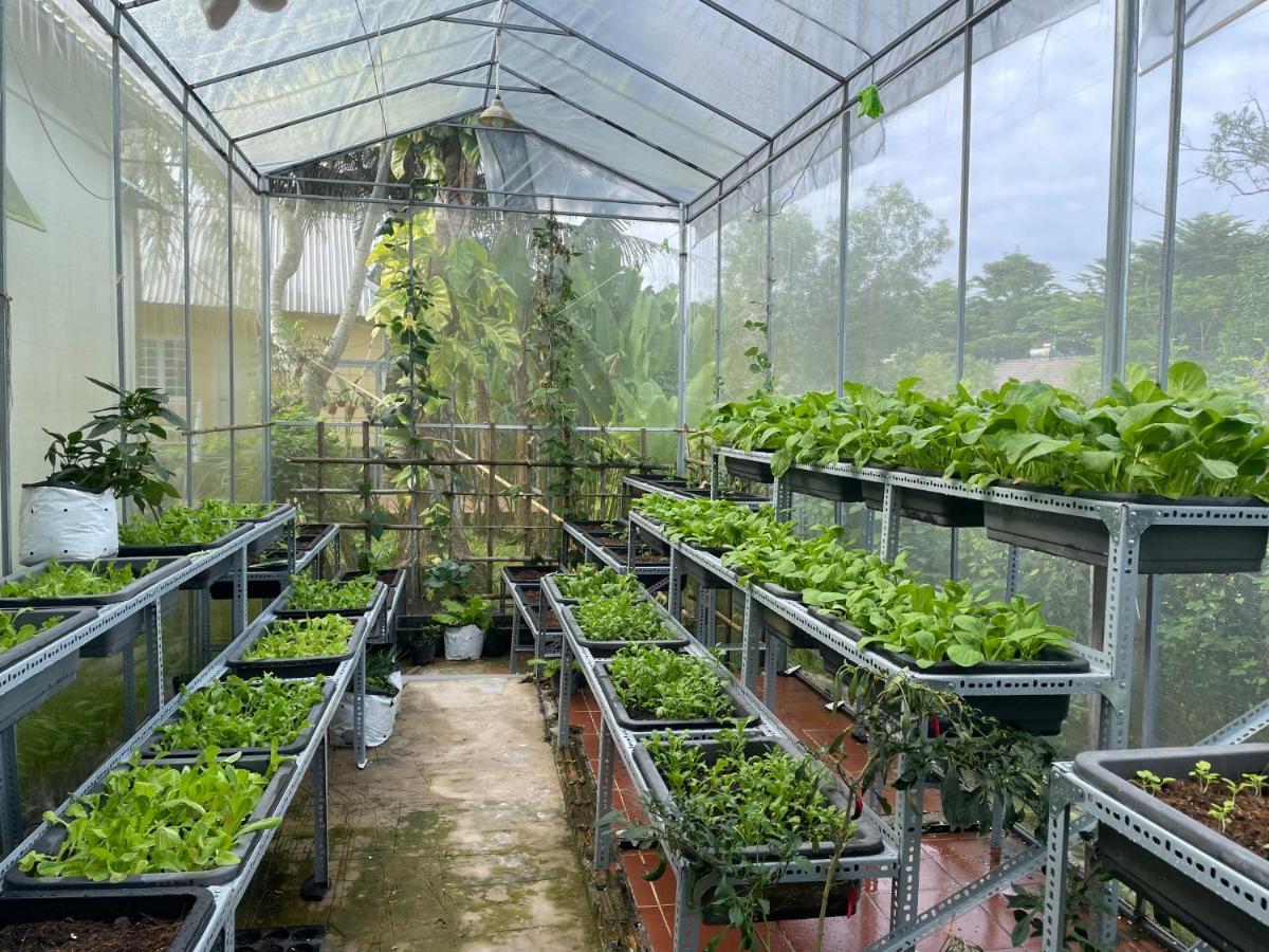 Tropical Garden Homestay Phu Quoc