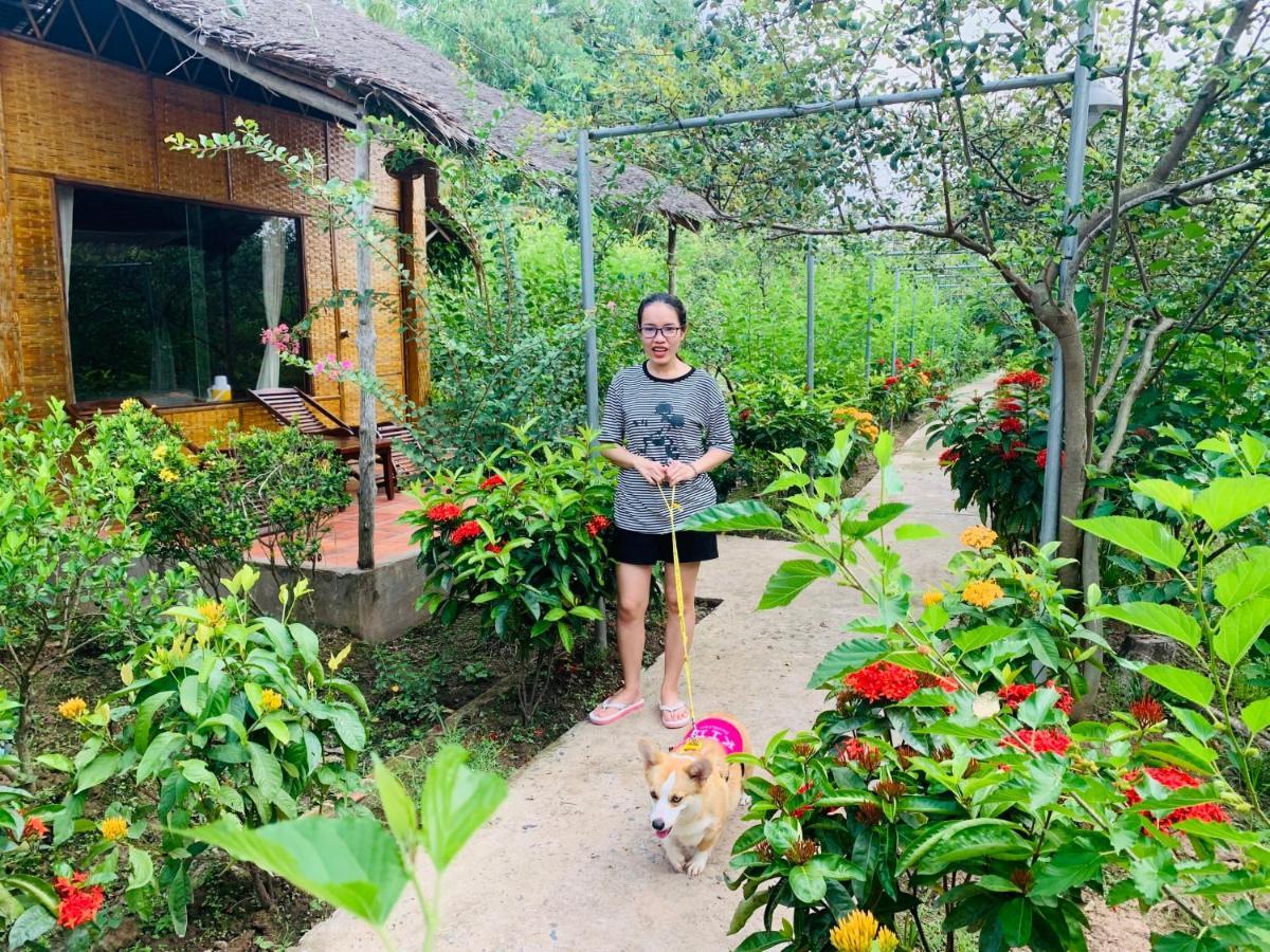 Resort Mekong 3*