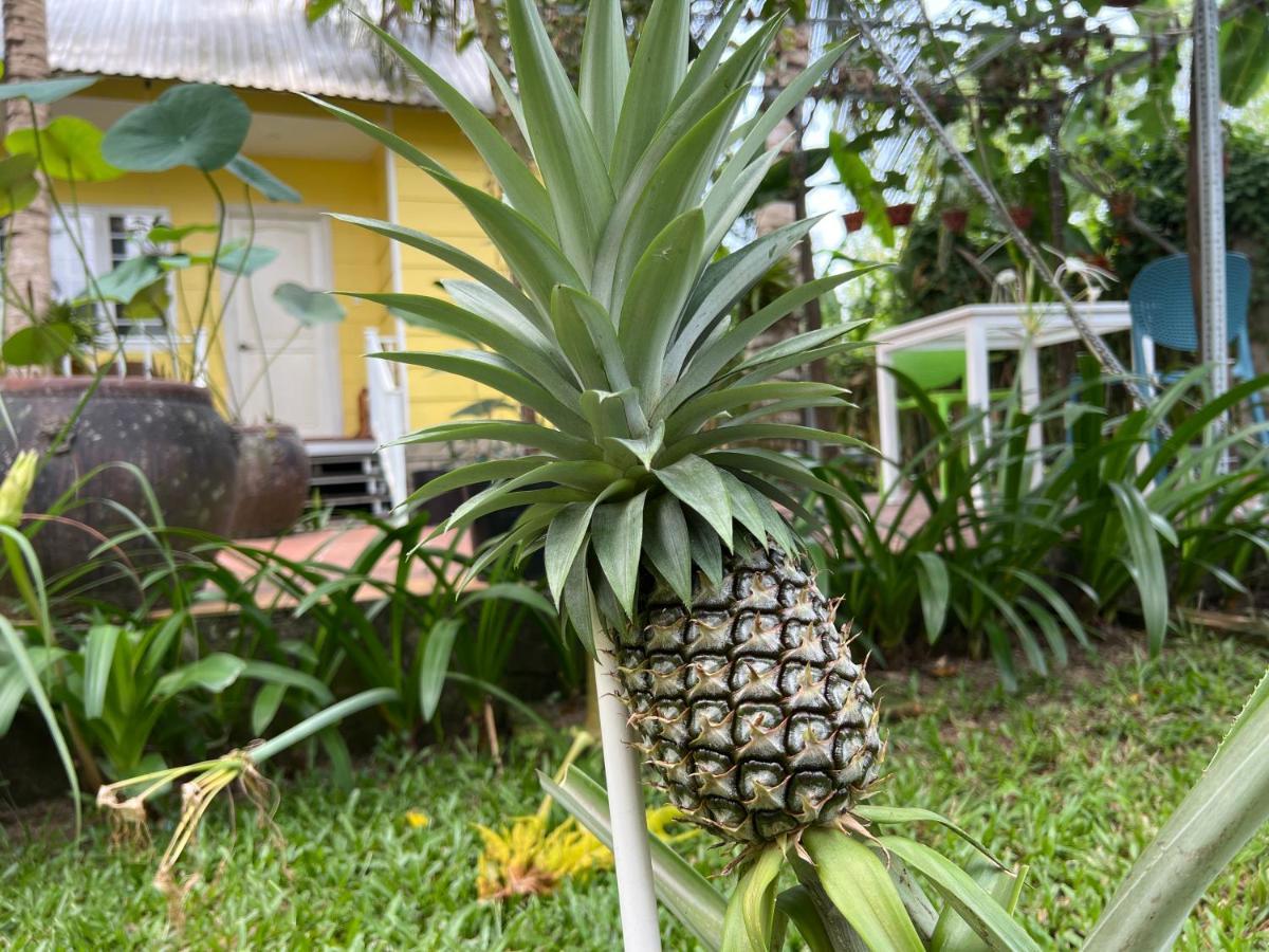 Tropical Garden *