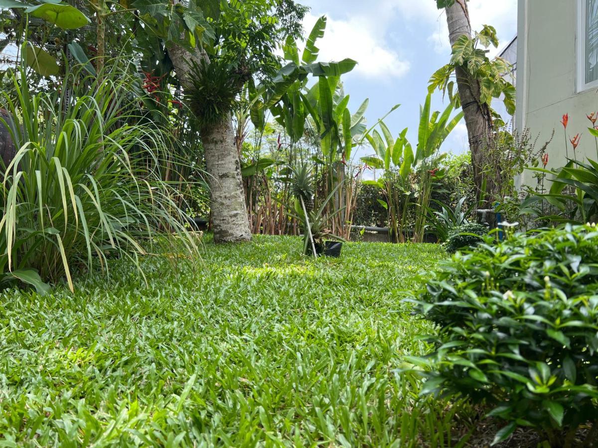 Tropical Garden Homestay *