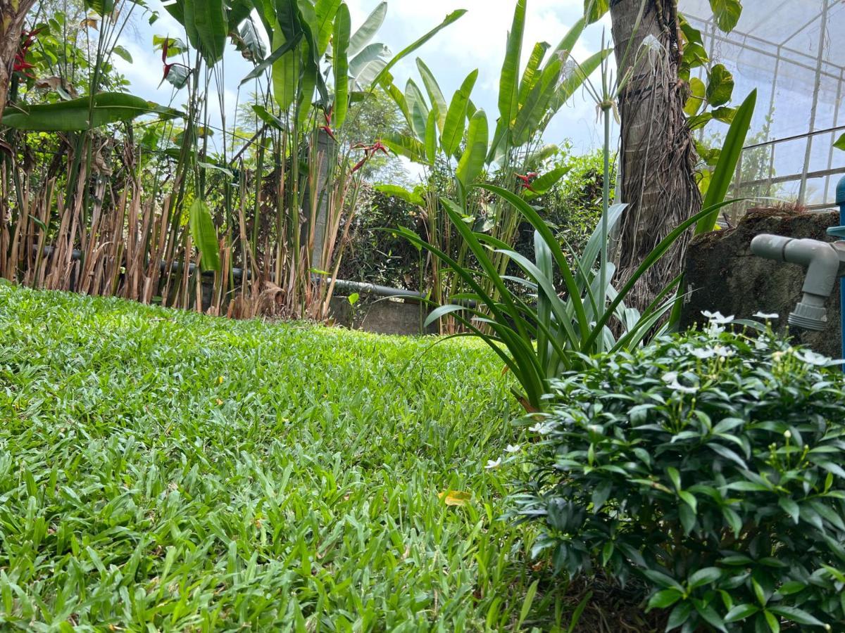 Tropical Garden Phu Quoc