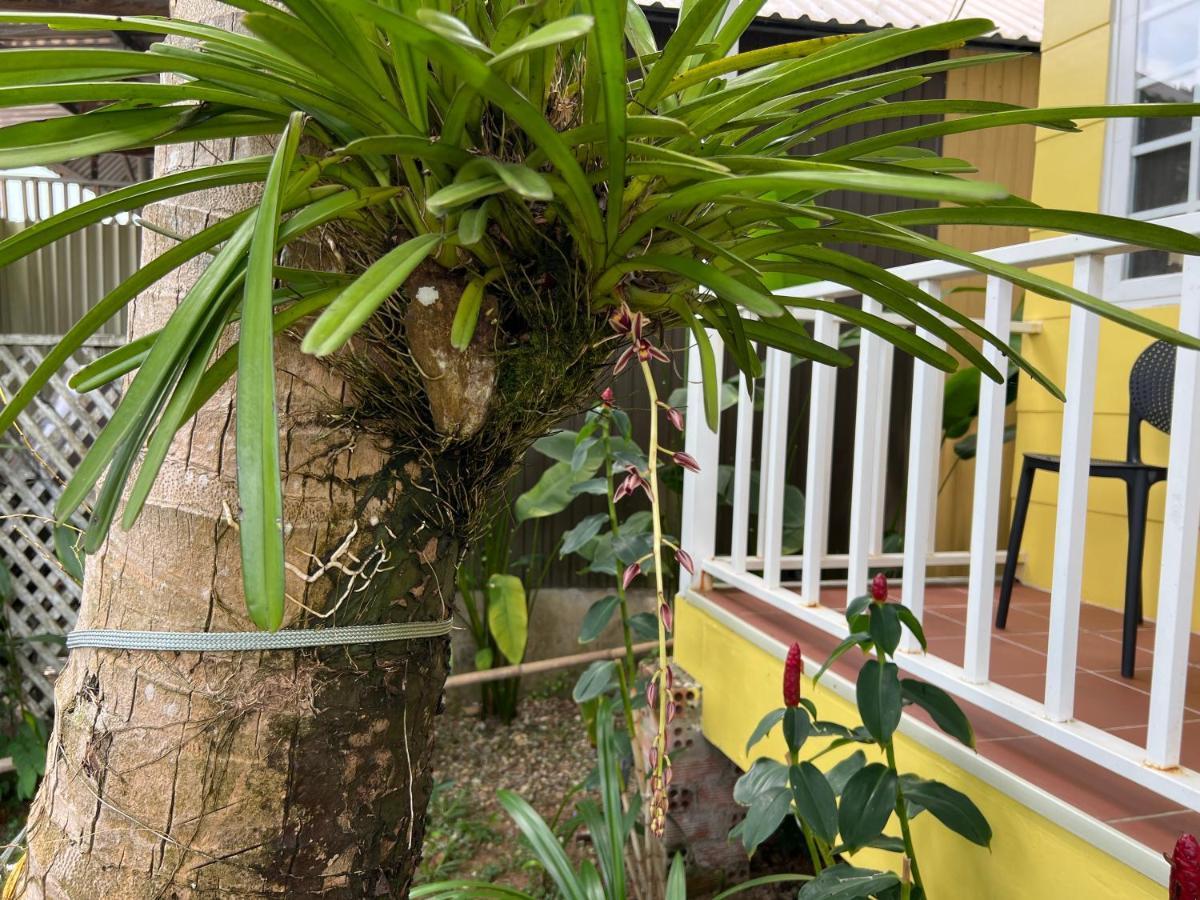 Tropical Garden Homestay Phu Quoc