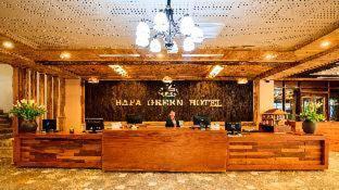 Sapa Green Hotel Khách sạn