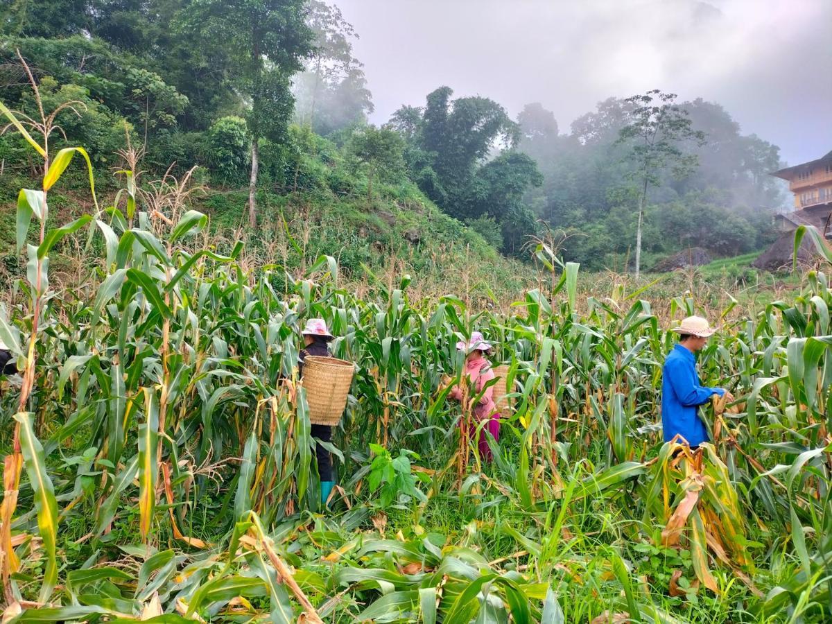 Muong Hoa Hmong Homestay *